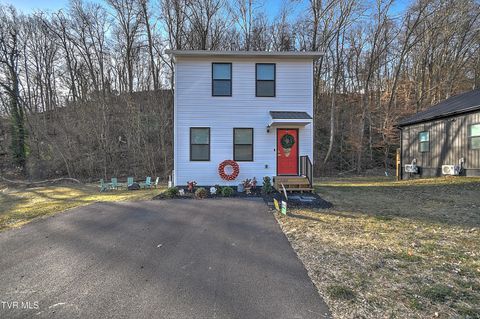 Photo of 1103 Glen Street, Bristol, TN 37620 (MLS # 9990578)