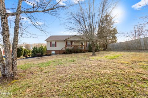 Photo of 4625 Clifton Lane, Strawberry Plains, TN 37871 (MLS # 9990446)