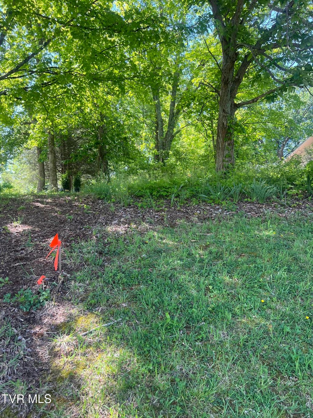 Photo of 00 Main Street, Jonesborough, TN 37659 (MLS # 9994554)