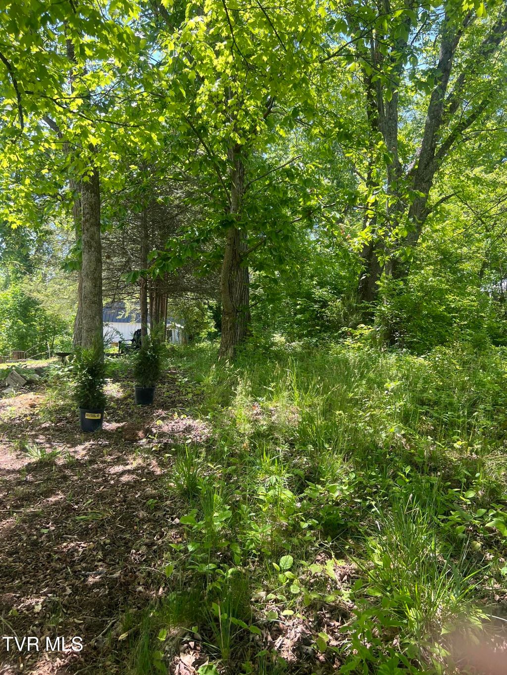 Photo of 00 Main Street, Jonesborough, TN 37659 (MLS # 9994554)
