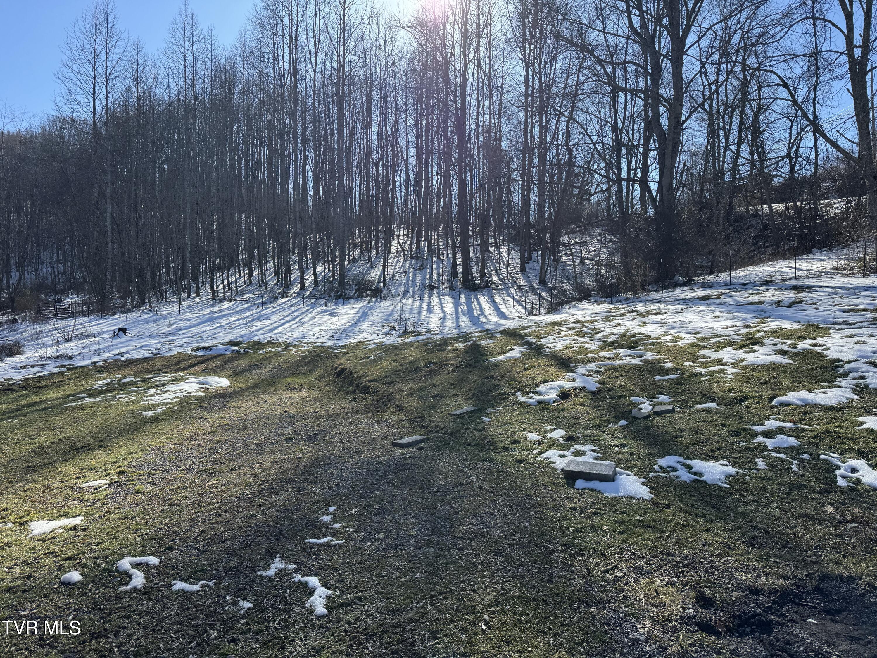 3670 Ravens Nest Branch Road, Cedar Bluff, Virginia image 15