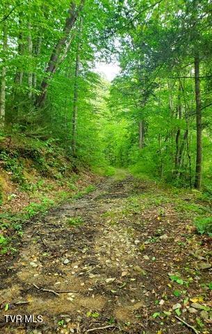 3670 Ravens Nest Branch Road, Cedar Bluff, Virginia image 4