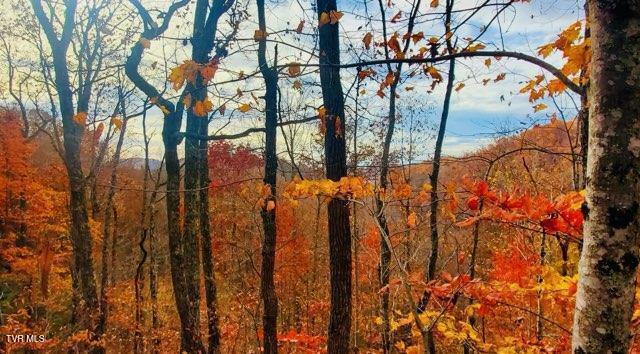 3670 Ravens Nest Branch Road, Cedar Bluff, Virginia image 2
