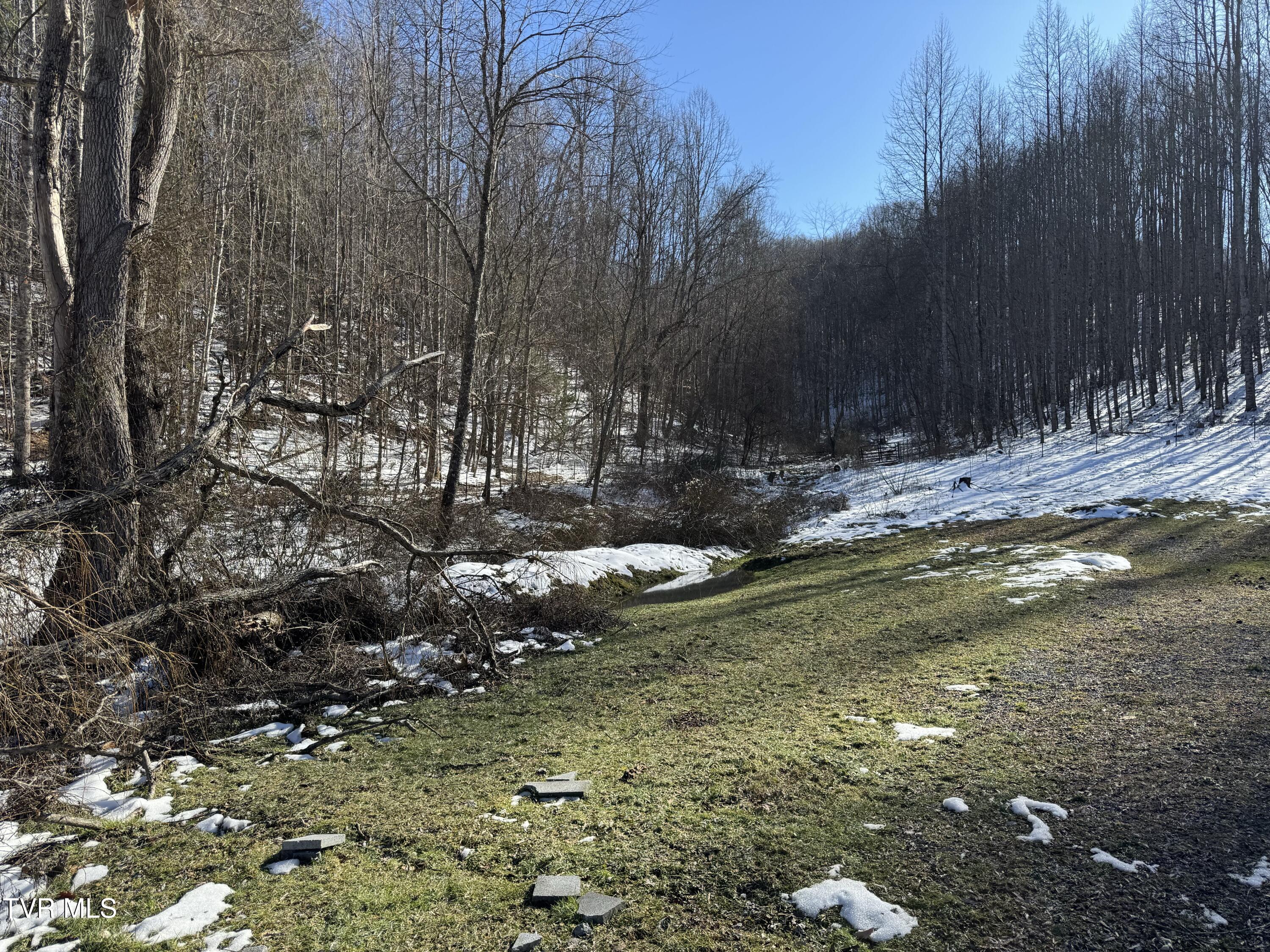 3670 Ravens Nest Branch Road, Cedar Bluff, Virginia image 14