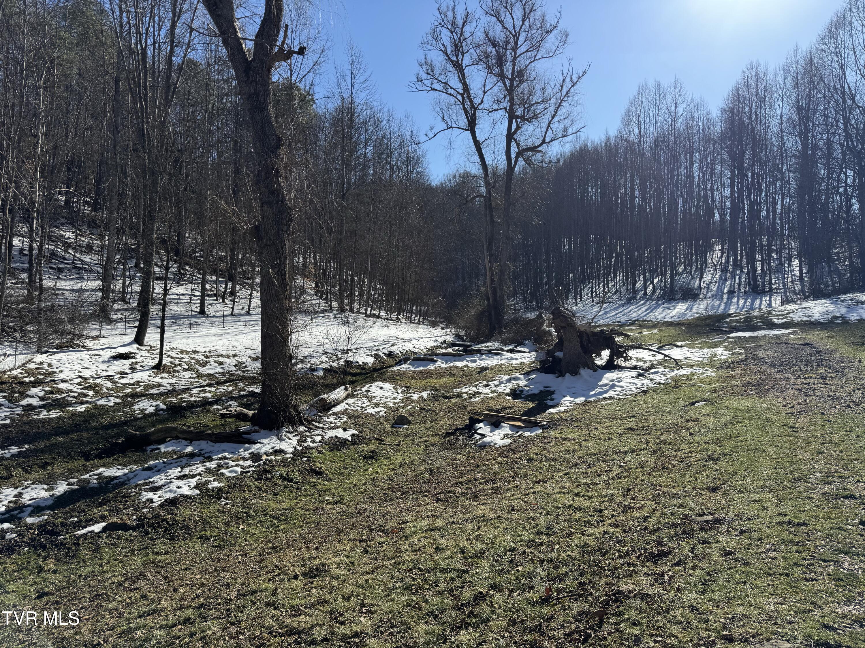 3670 Ravens Nest Branch Road, Cedar Bluff, Virginia image 10