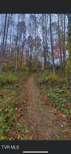 3670 Ravens Nest Branch Road, Cedar Bluff, Virginia image 6
