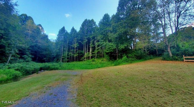 3670 Ravens Nest Branch Road, Cedar Bluff, Virginia image 1