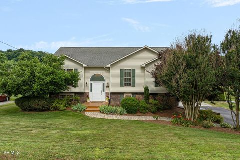 Photo of 116 Alfalfa Lane, Jonesborough, TN 37659 (MLS # 9997339)