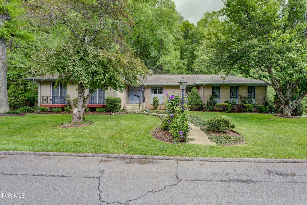 Photo of 600 Valley Avenue, Erwin, TN 37650 (MLS # 9979764)