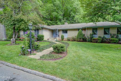 Homes For Sale - 600 Valley Avenue<br/> Unicoi County, Erwin, TN 37650