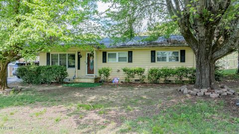 Homes For Sale - 105 Houston Street<br/> Bristol, TN 37620