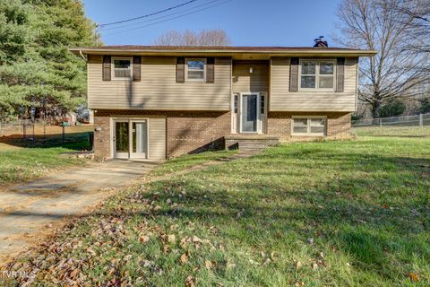 Photo of 128 Pierce Lane, Johnson City, TN 37604 (MLS # 9988346)