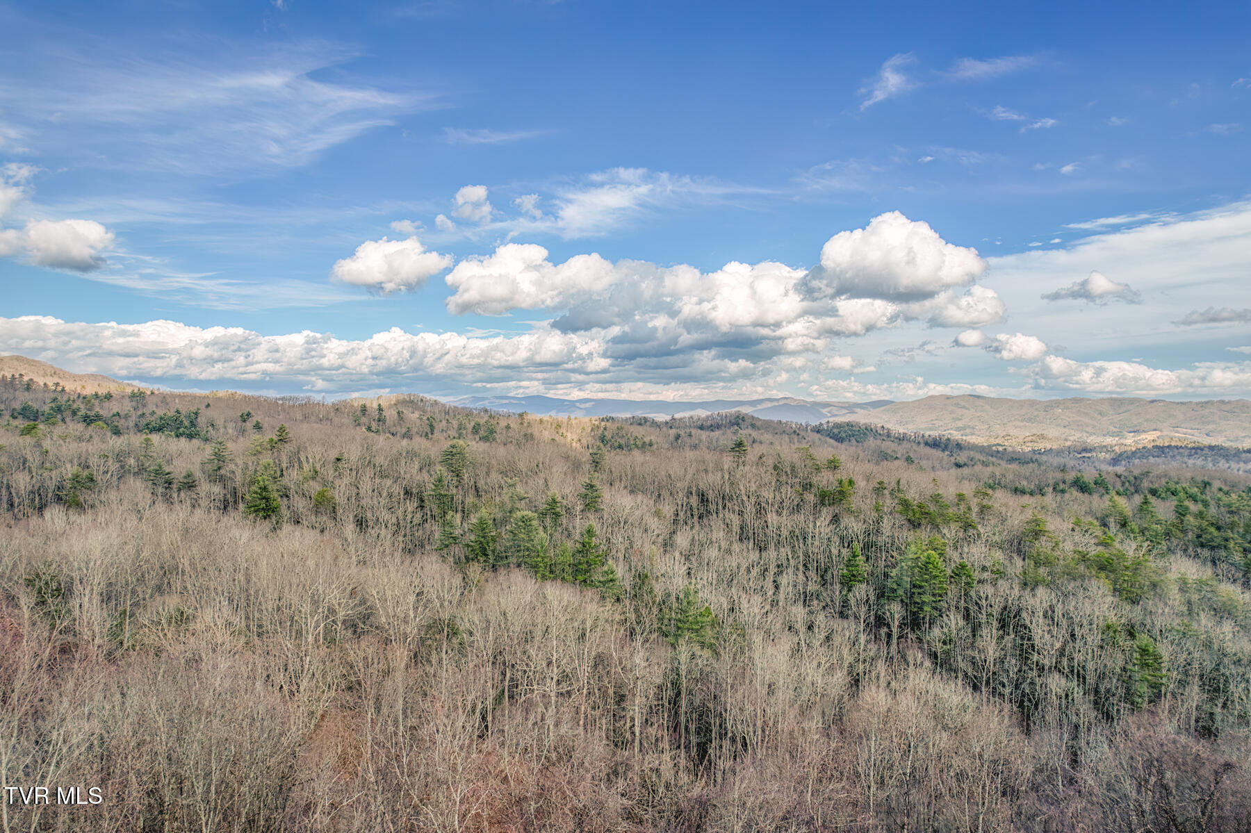 1414 Sprucy Ridge Private Road, Mountain City, Tennessee image 7