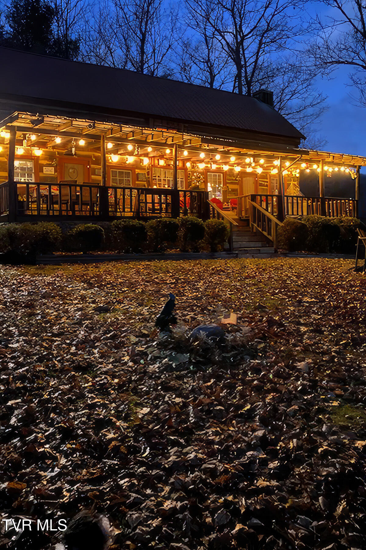 1414 Sprucy Ridge Private Road, Mountain City, Tennessee image 4