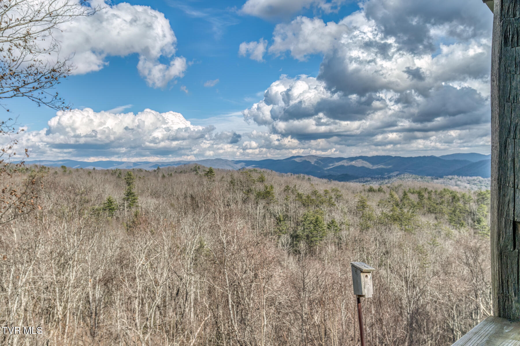 1414 Sprucy Ridge Private Road, Mountain City, Tennessee image 8