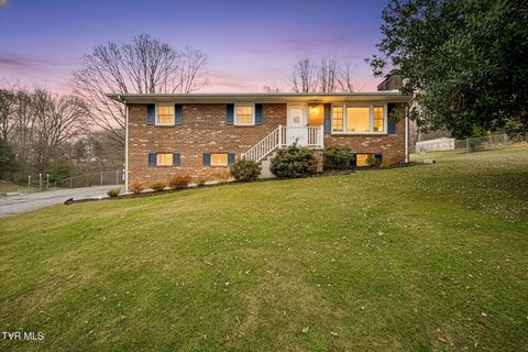 Photo of 237 Paramount Drive, Bristol, TN 37620 (MLS # 9989891)