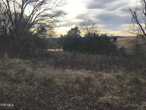 Vacant Land For Sale - 925 Collins Road<br/> Greeneville, TN 37745