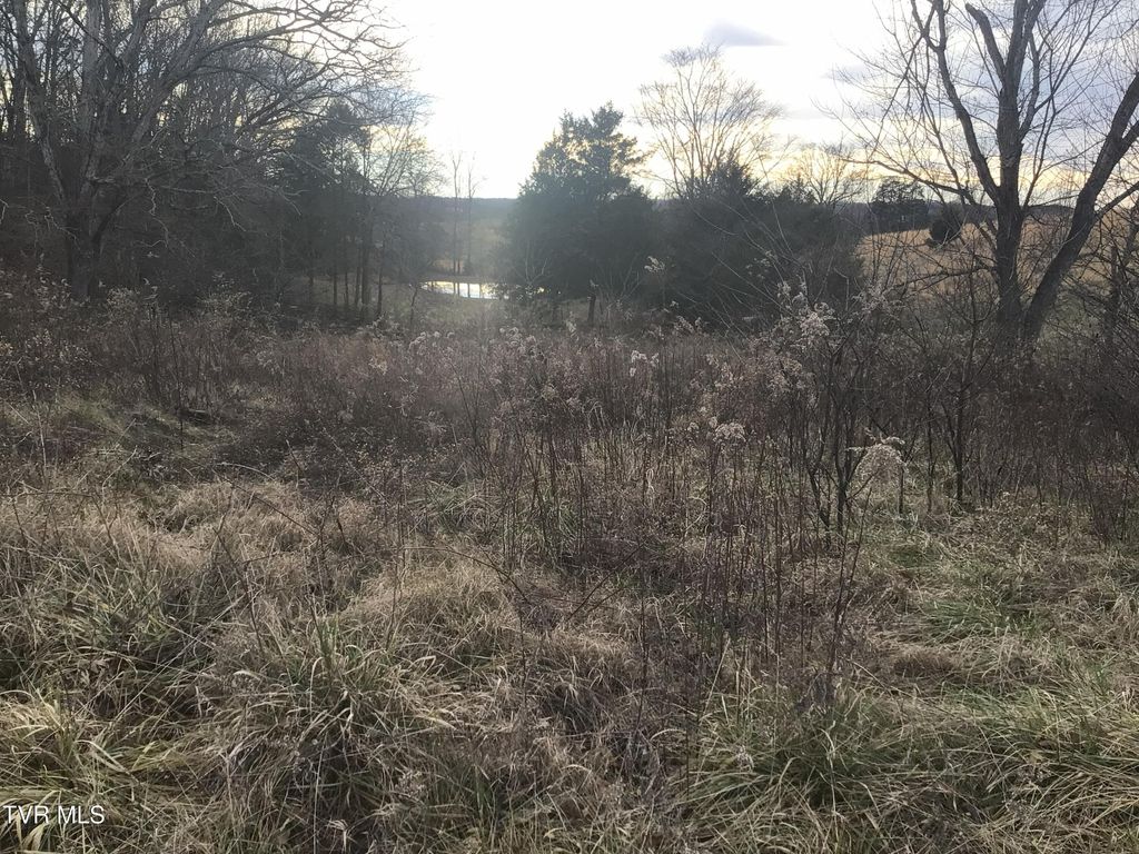 Photo of 925 Collins Road, Greeneville, TN 37745 (MLS # 9990145)