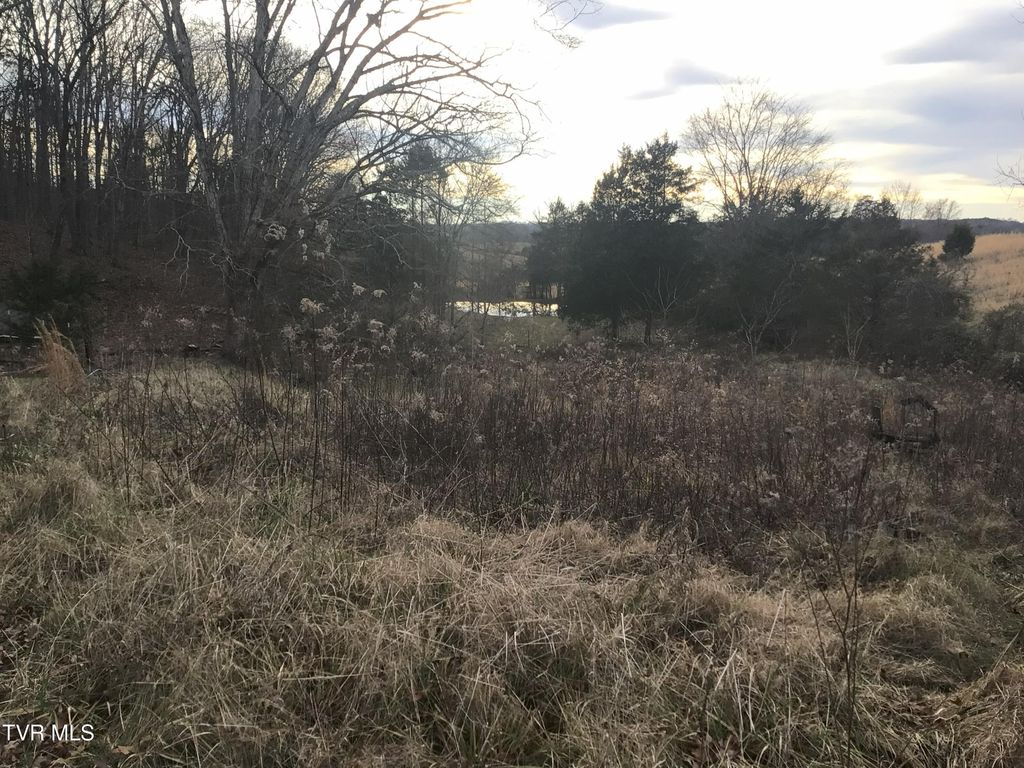 Photo of 925 Collins Road, Greeneville, TN 37745 (MLS # 9990145)