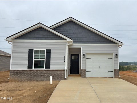 Homes For Sale - 328 Chimney View Loop Loop<br/> Blountville, TN 37617
