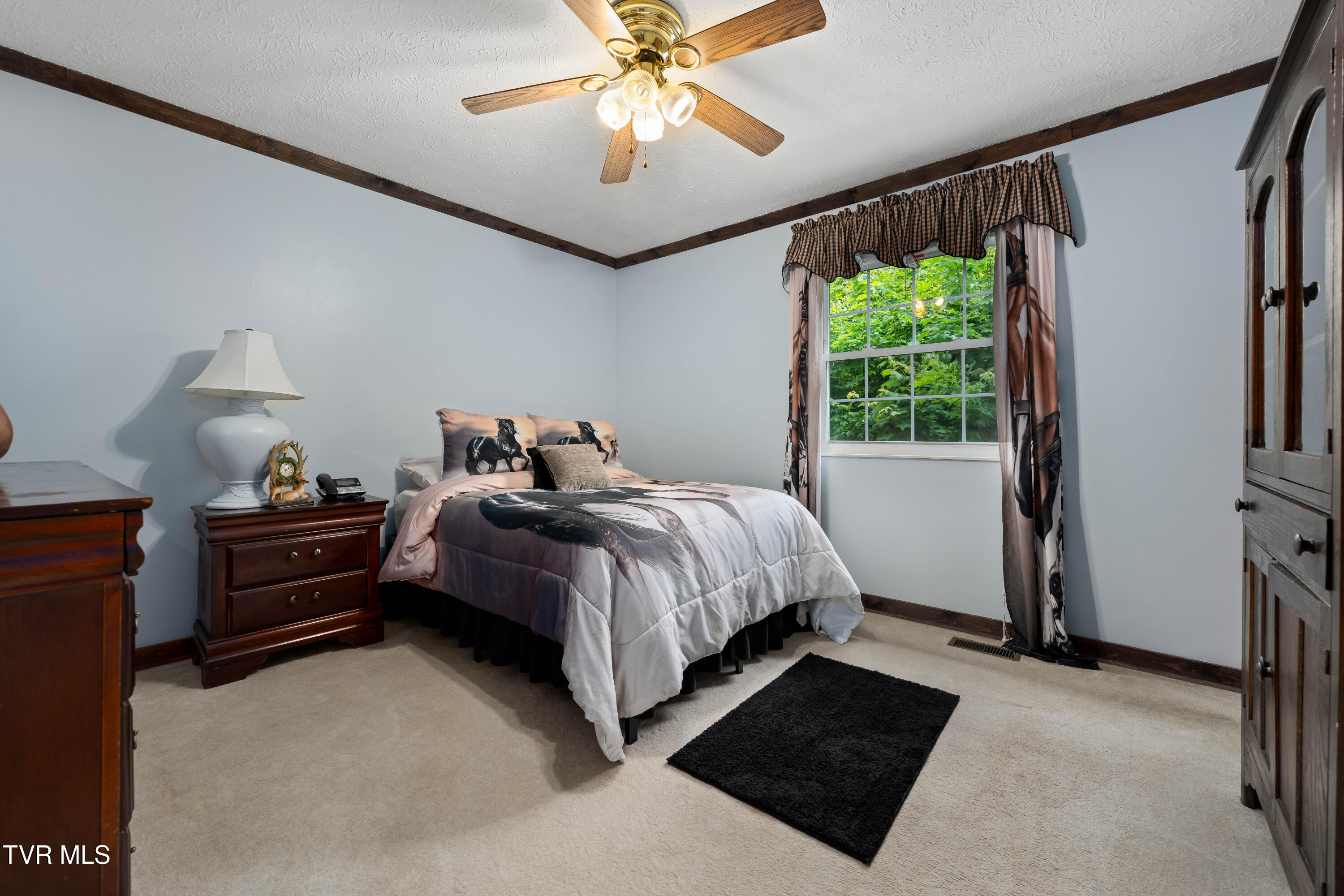524 Mountain View Drive, Piney Flats, Tennessee image 27