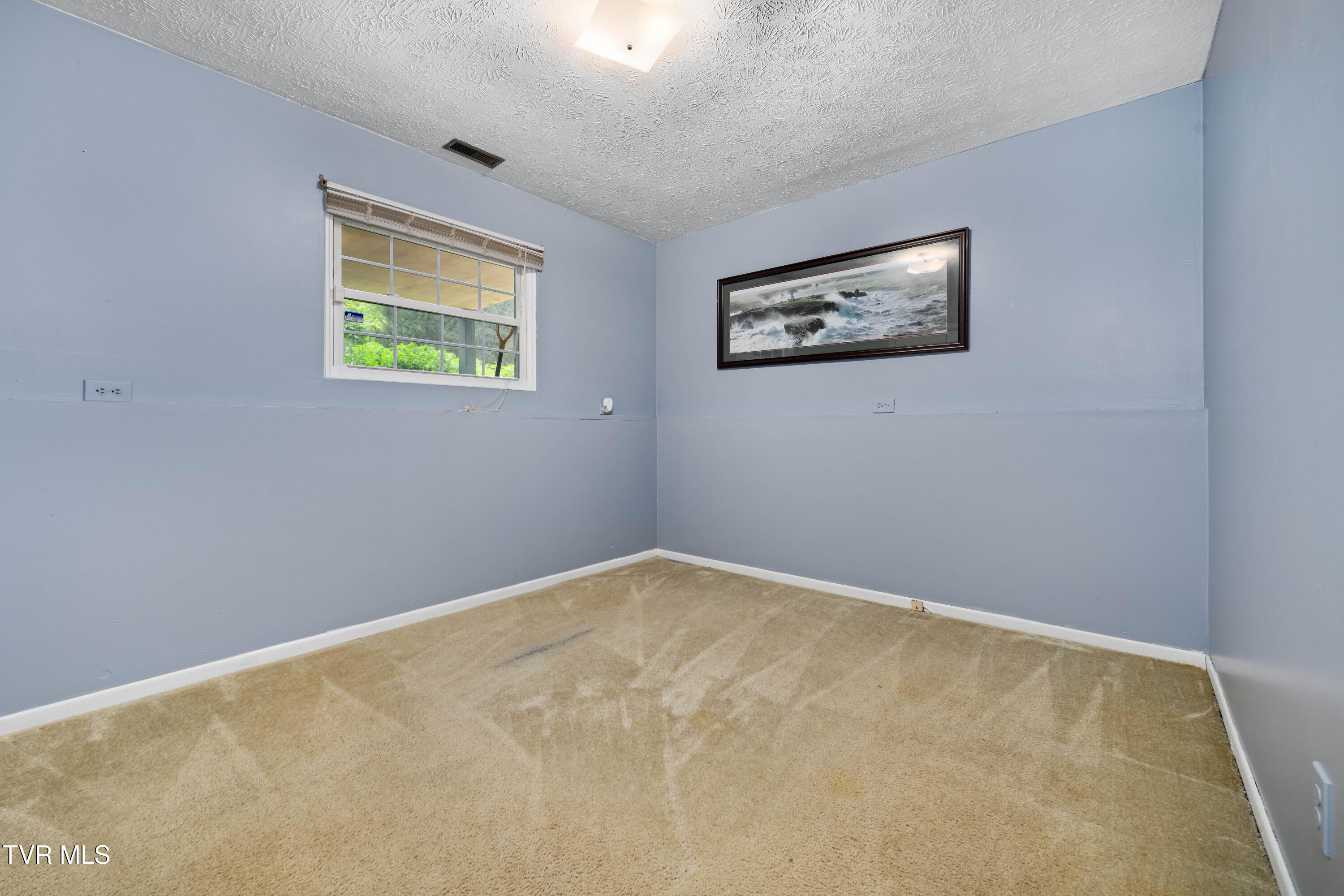 524 Mountain View Drive, Piney Flats, Tennessee image 35