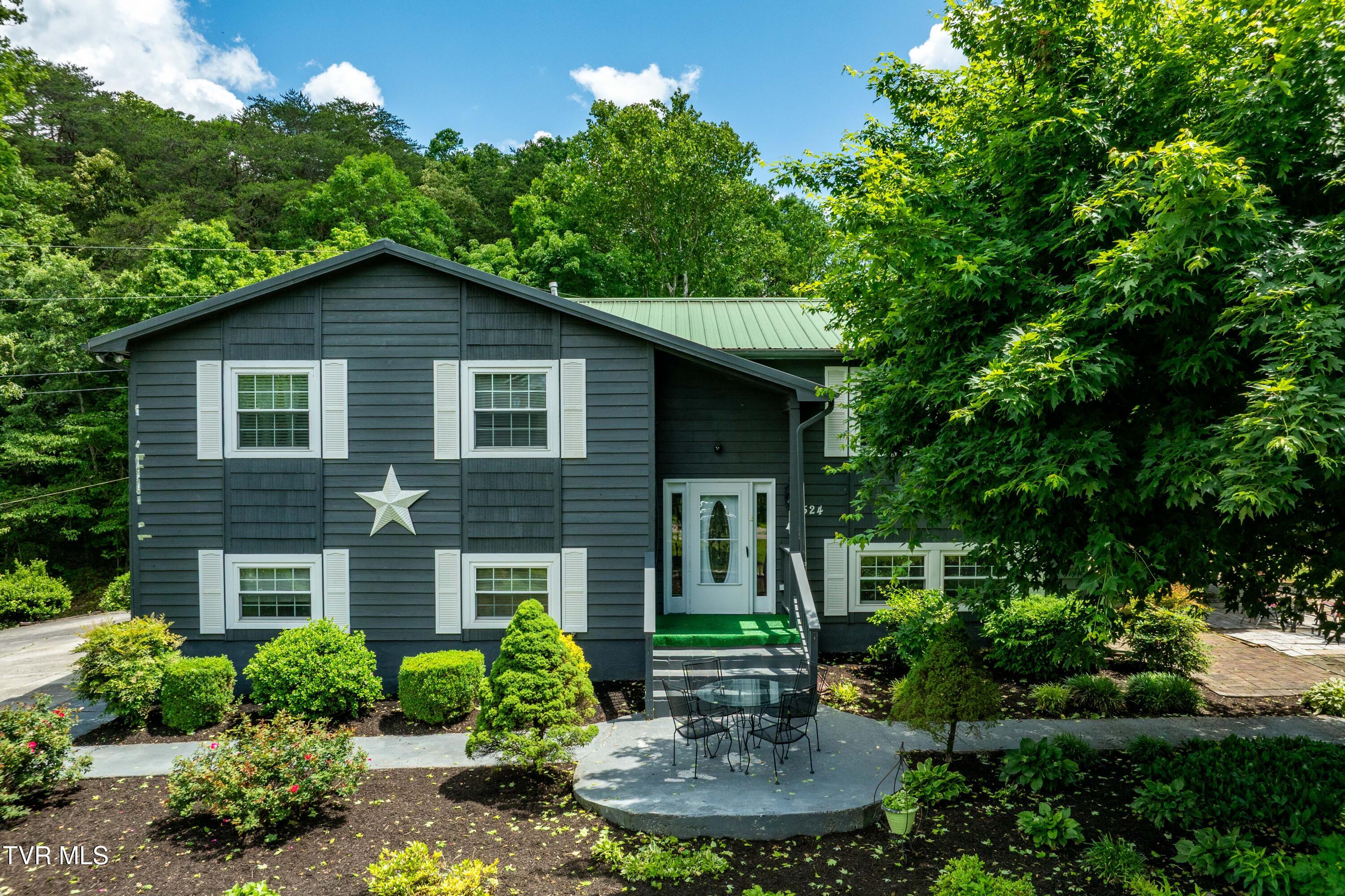 524 Mountain View Drive, Piney Flats, Tennessee image 1