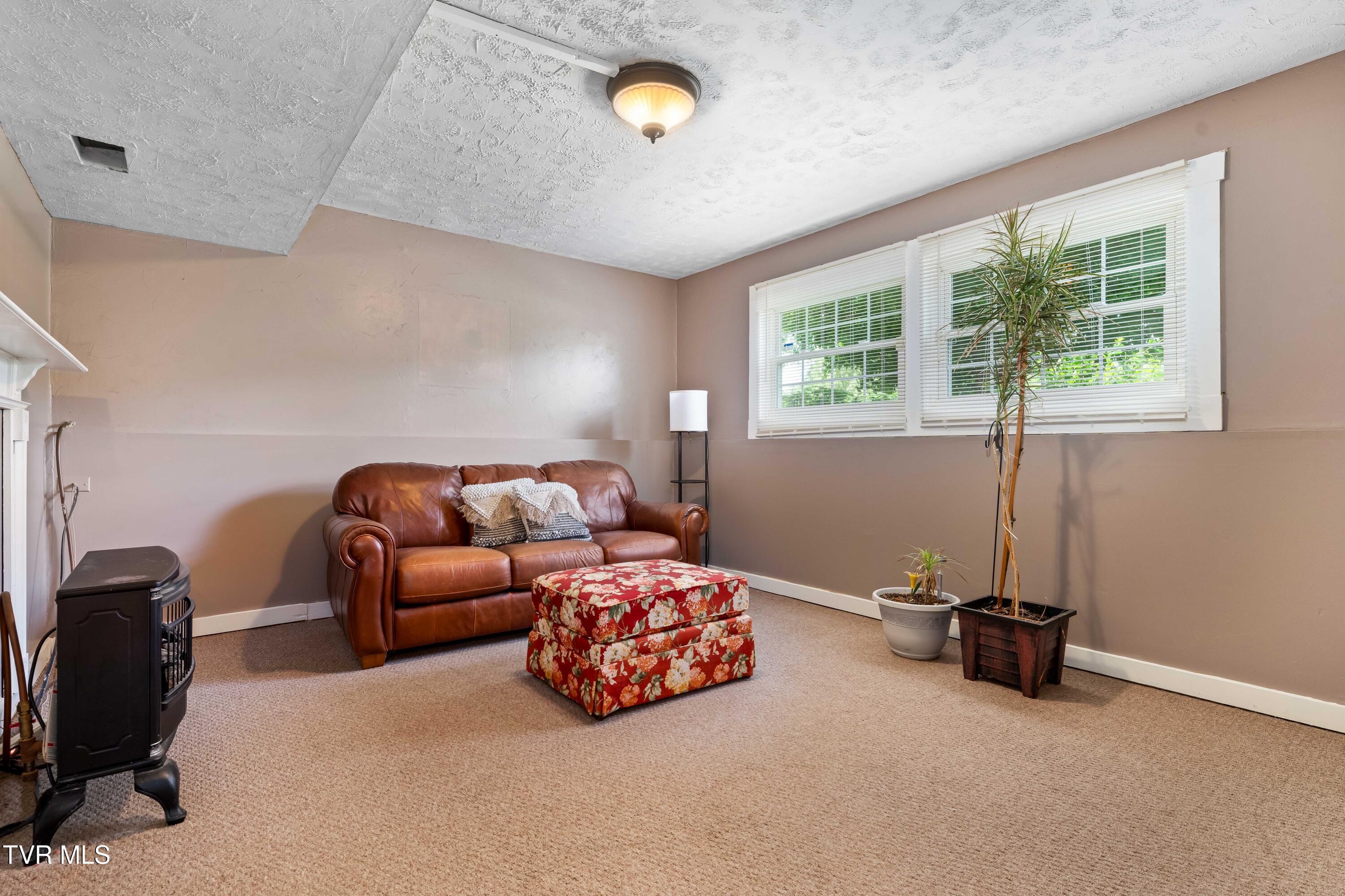 524 Mountain View Drive, Piney Flats, Tennessee image 33