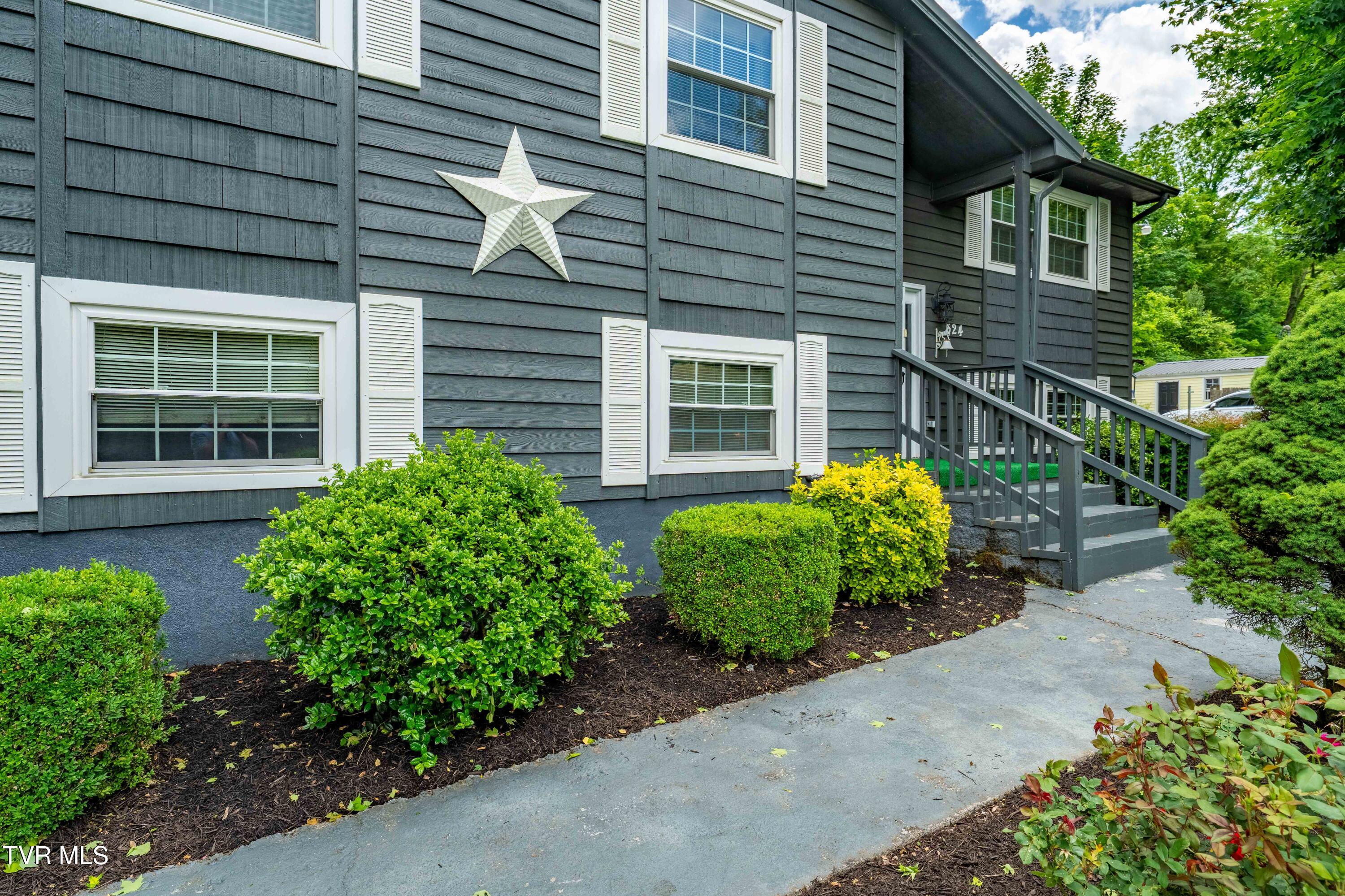 524 Mountain View Drive, Piney Flats, Tennessee image 6