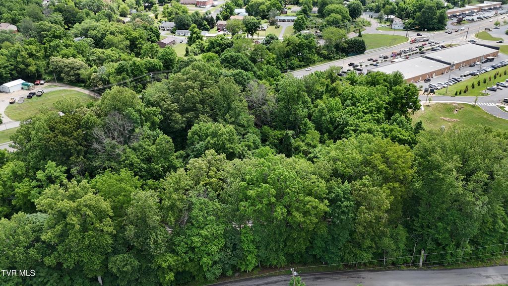 Photo of 1107 Clinchfield Street, Johnson City, TN 37604 (MLS # 9995327)