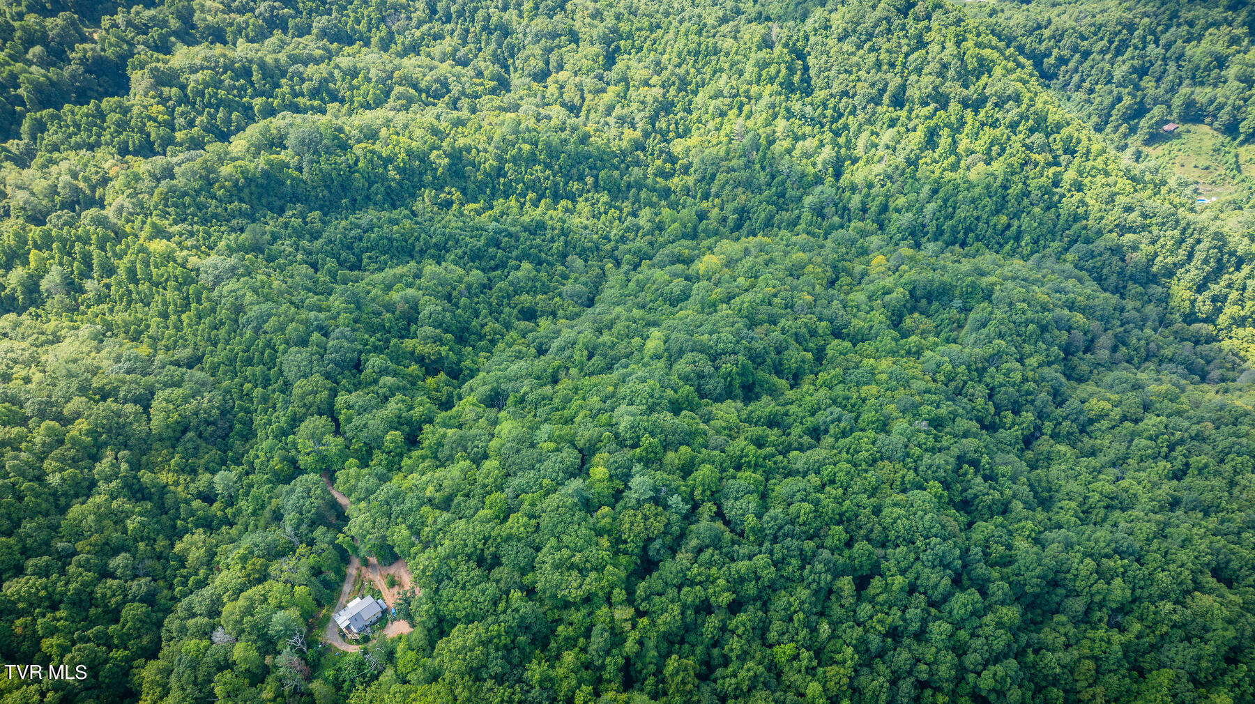 W Of Reece Hill Road, Hampton, Tennessee image 4