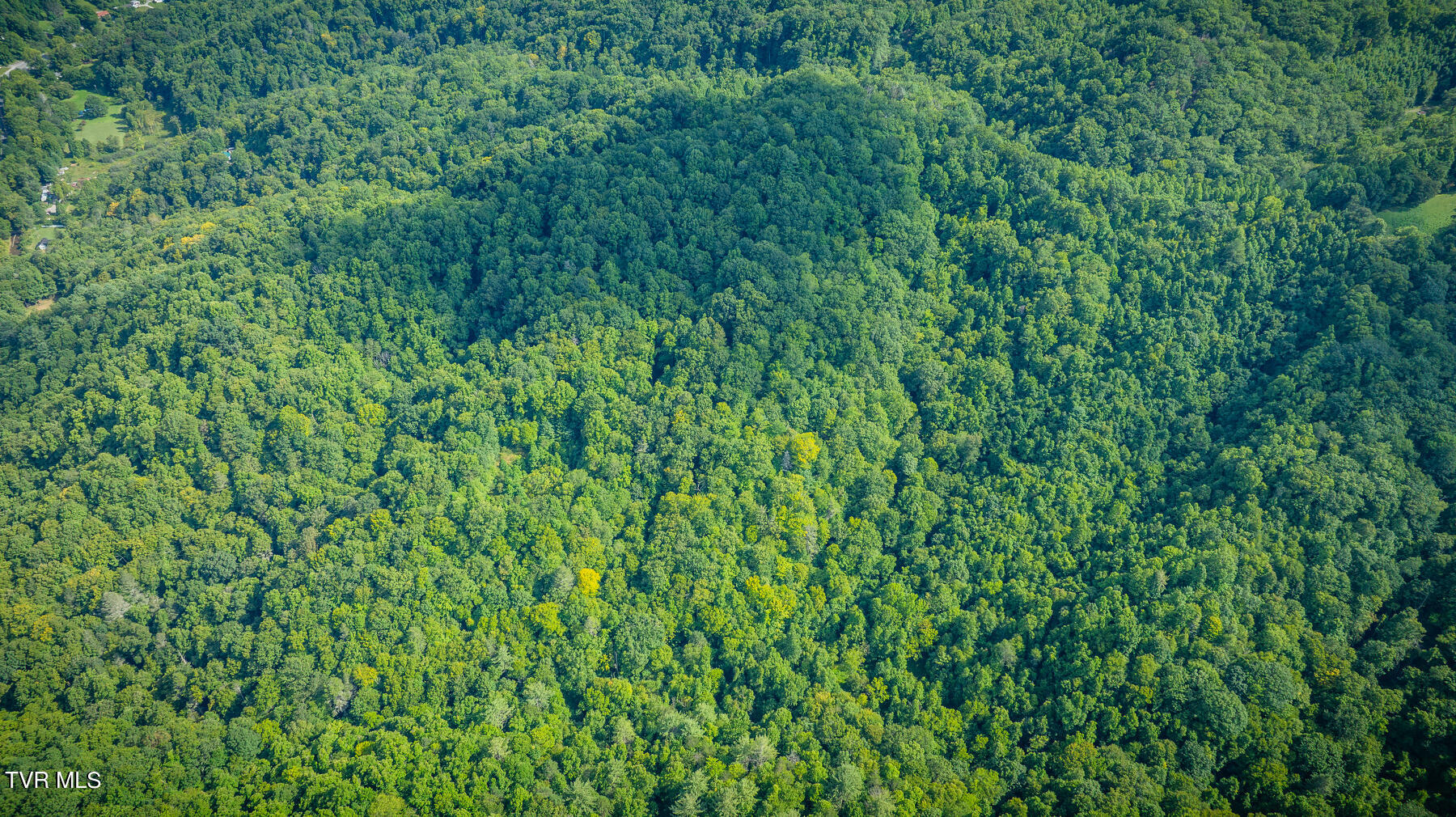 W Of Reece Hill Road, Hampton, Tennessee image 1
