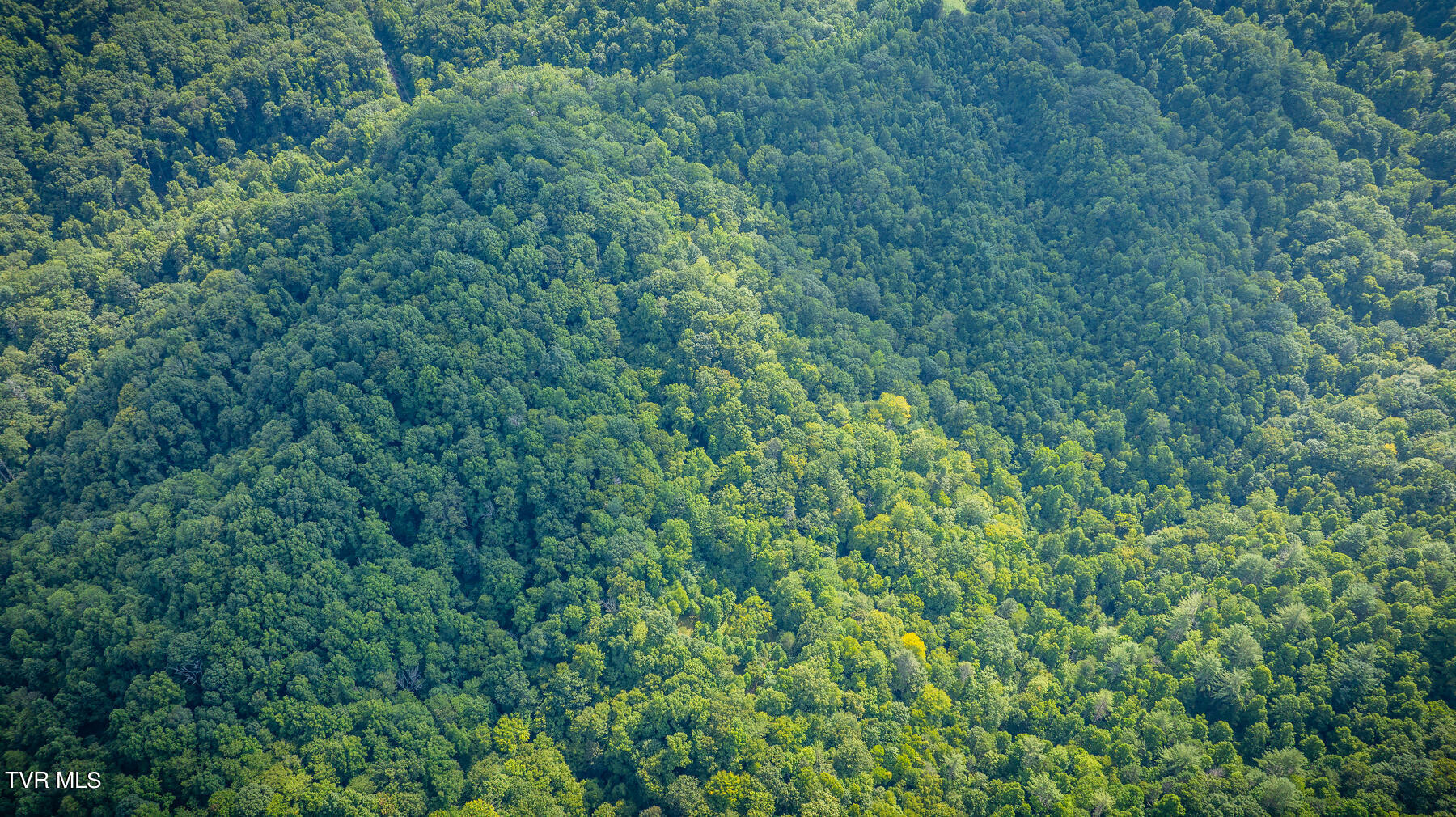 W Of Reece Hill Road, Hampton, Tennessee image 2