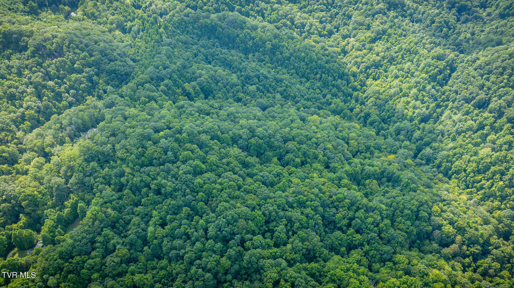 W Of Reece Hill Road, Hampton, Tennessee image 3