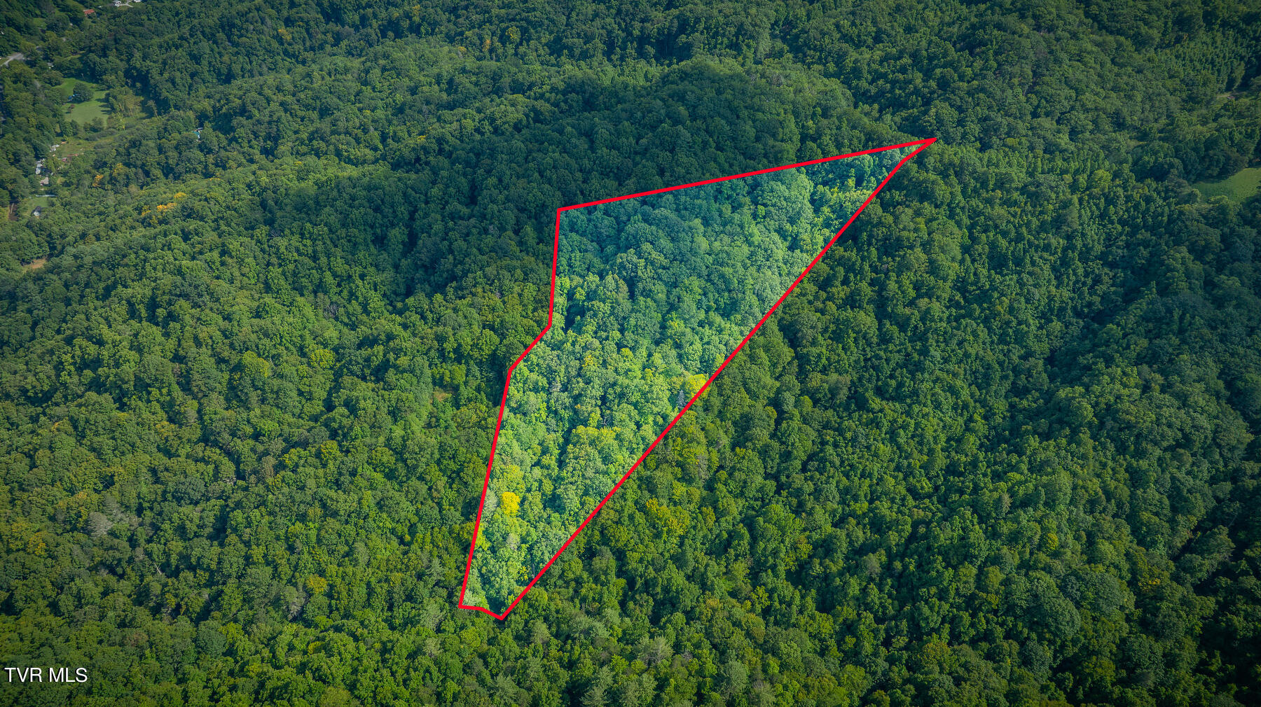 W Of Reece Hill Road, Hampton, Tennessee image 17