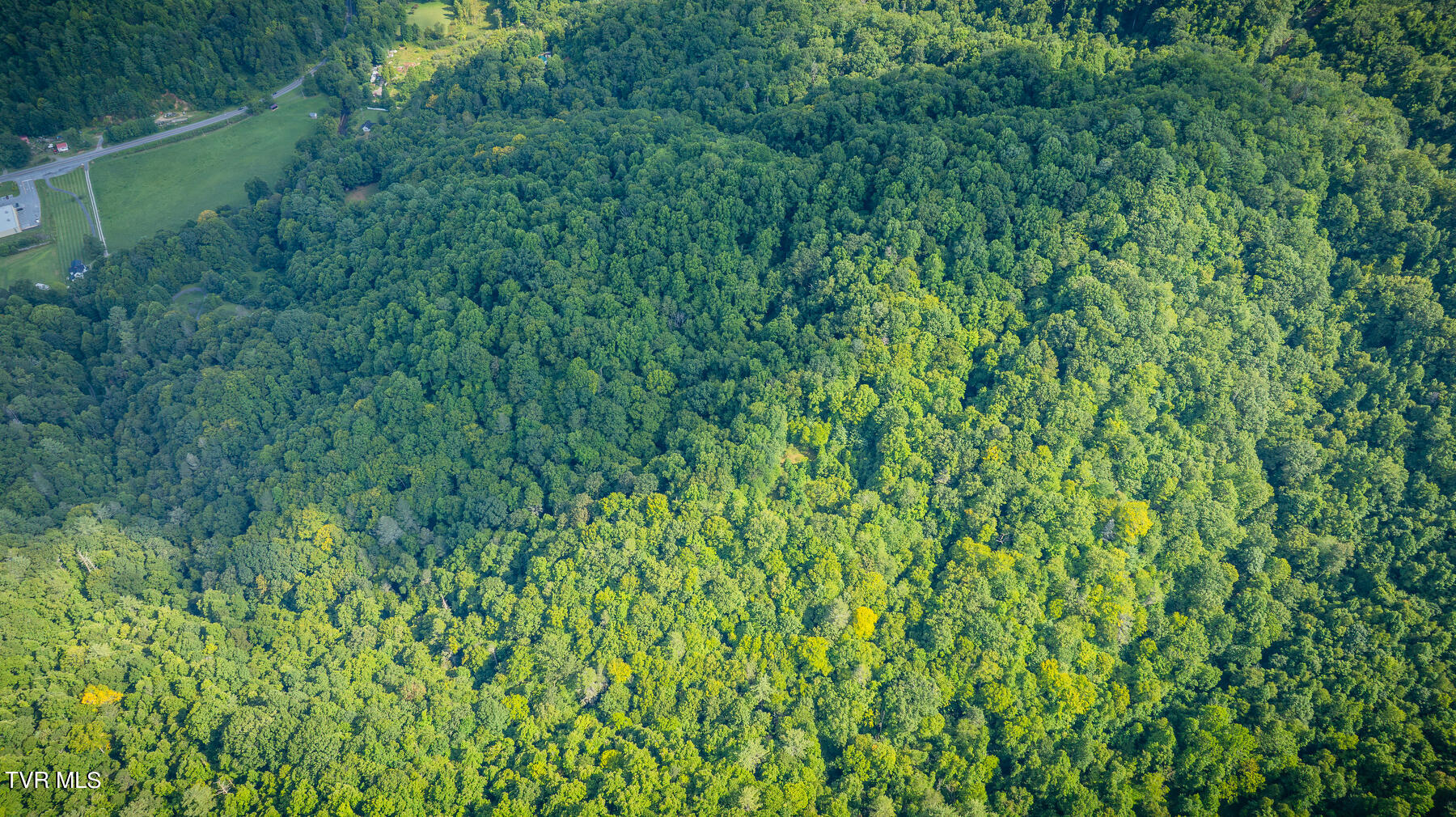 W Of Reece Hill Road, Hampton, Tennessee image 8
