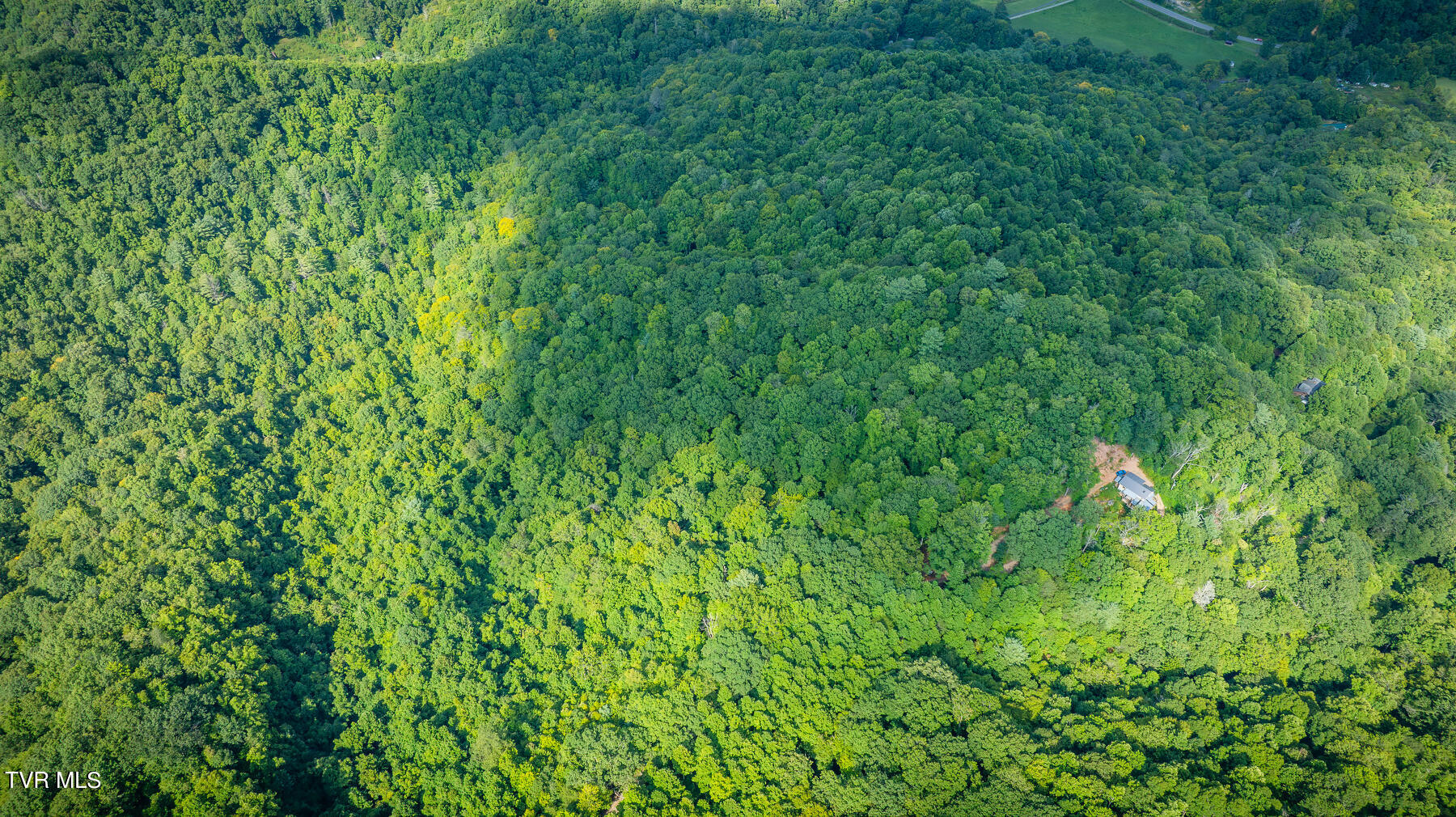 W Of Reece Hill Road, Hampton, Tennessee image 6