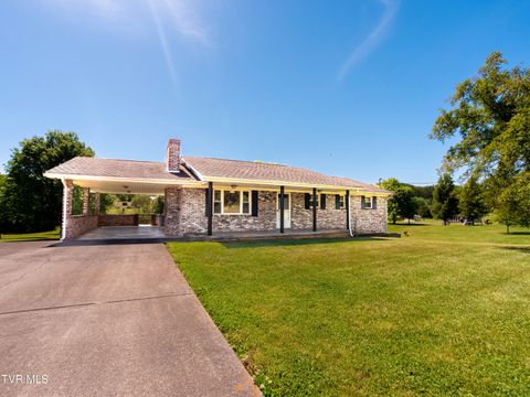 Photo of 156 Pyne Hills Drive, Rogersville, TN 37857 (MLS # 9995019)