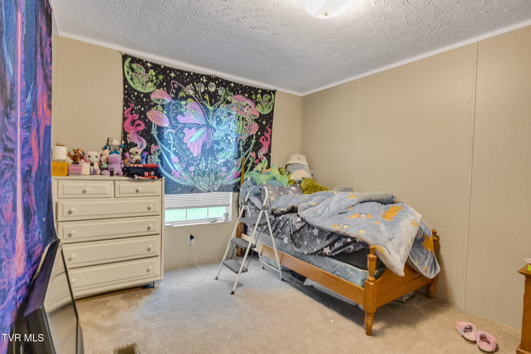 100 Colyer Road, Greeneville, Tennessee image 24
