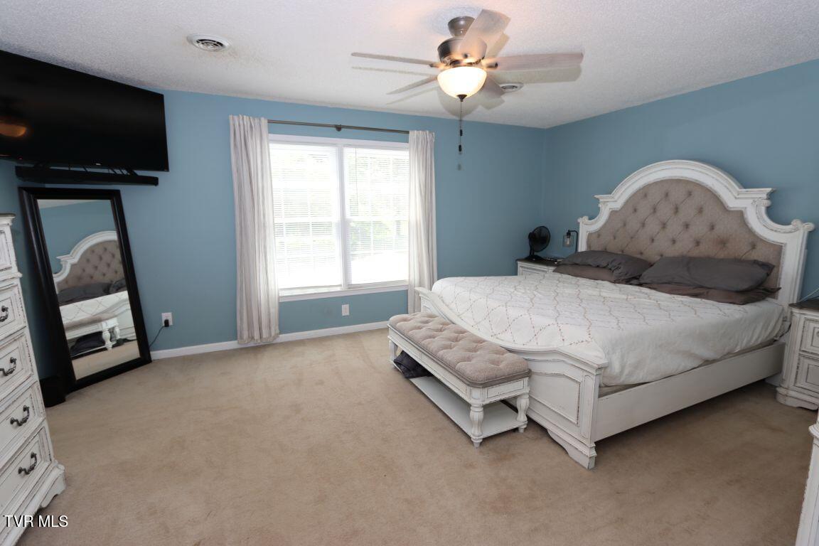 21164 Vances Mill Road, Abingdon, Virginia image 19