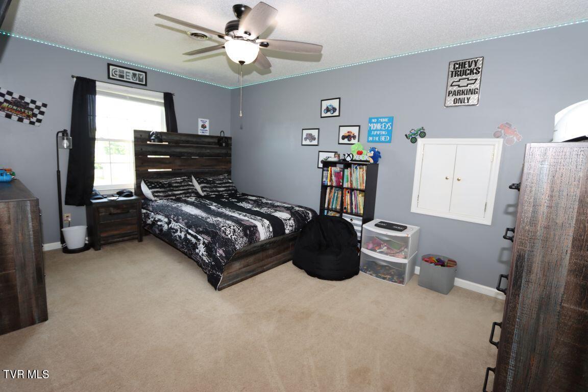 21164 Vances Mill Road, Abingdon, Virginia image 23