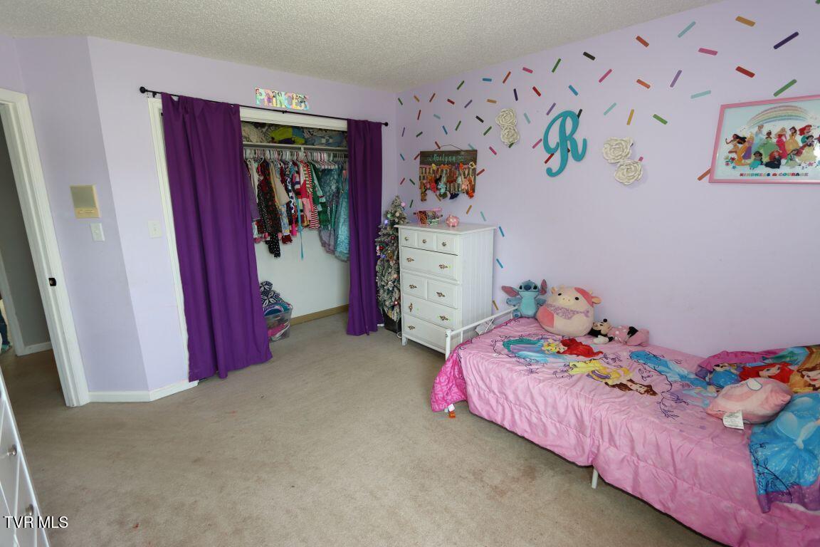 21164 Vances Mill Road, Abingdon, Virginia image 26