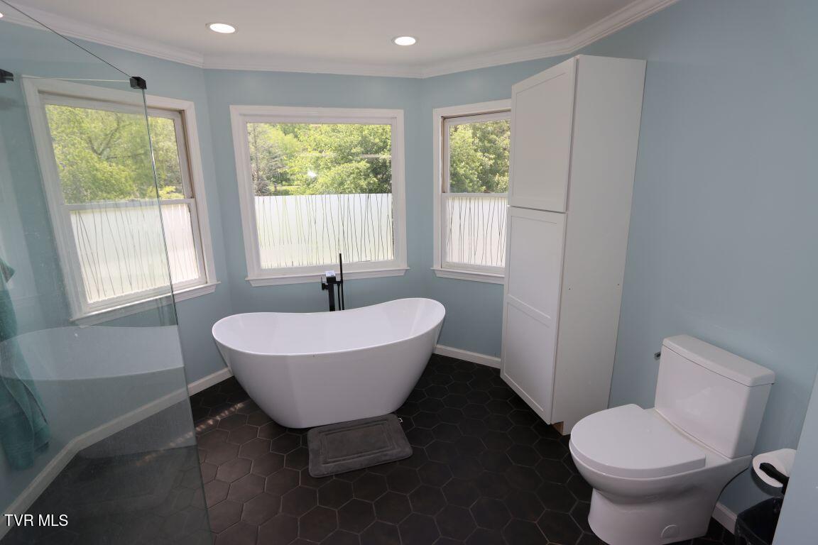 21164 Vances Mill Road, Abingdon, Virginia image 22