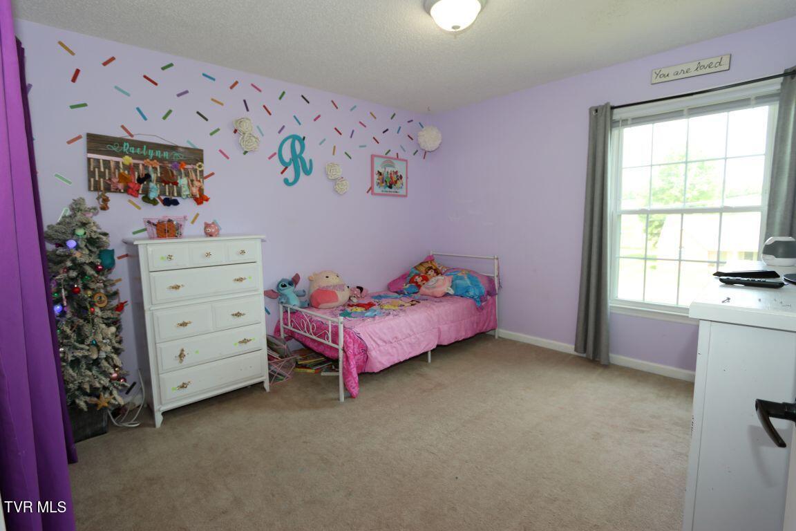 21164 Vances Mill Road, Abingdon, Virginia image 25
