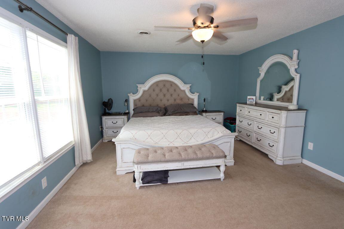 21164 Vances Mill Road, Abingdon, Virginia image 18