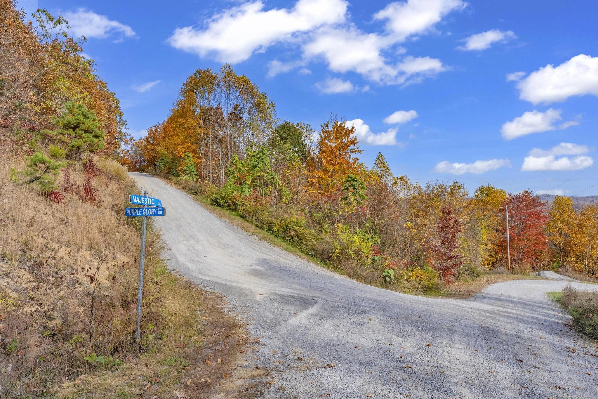 Tbd Purple Glory Lot 7 Drive, Duffield, Virginia image 3