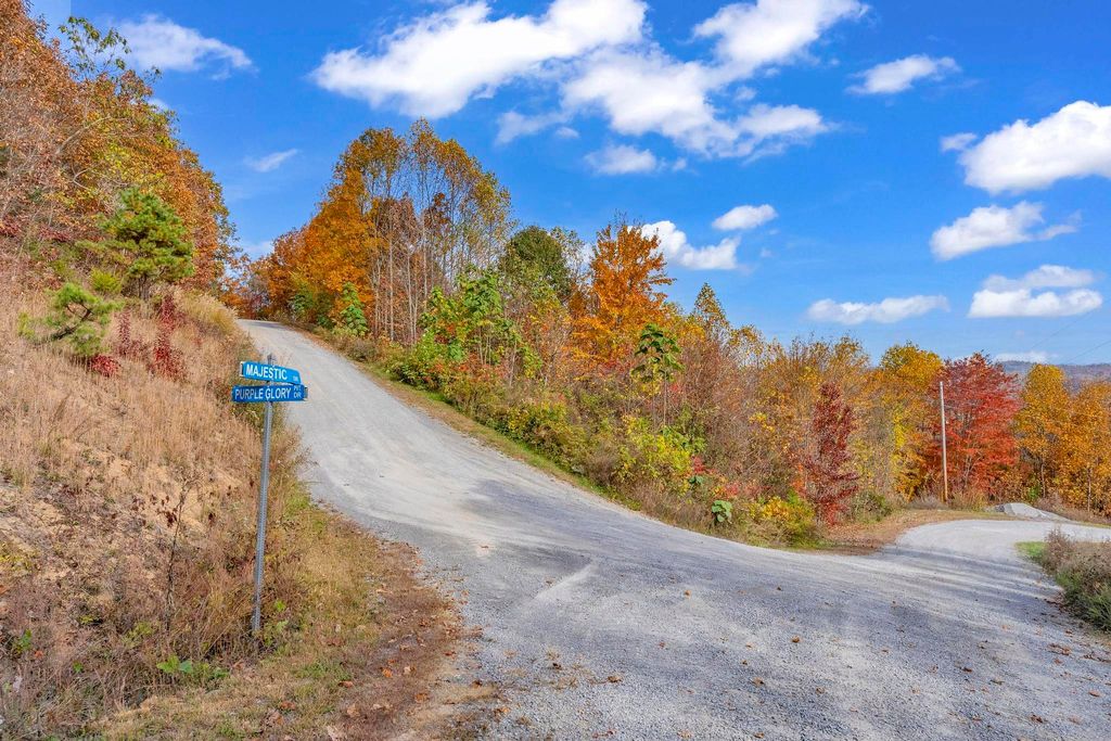 Photo of Tbd Purple Glory Lot 7 Drive, Duffield, VA 24244 (MLS # 9958699)