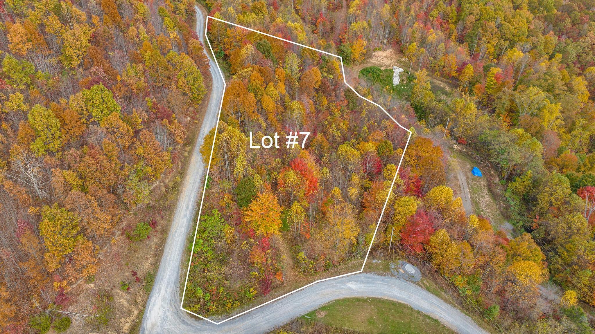 Tbd Purple Glory Lot 7 Drive, Duffield, Virginia image 1