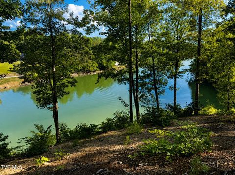 Vacant Land For Sale - 2318 Turkey Ridge Lane<br/> Piney Flats, TN 37686