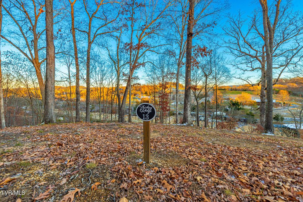 Photo of 2318 Turkey Ridge Lane, Piney Flats, TN 37686 (MLS # 9989335)